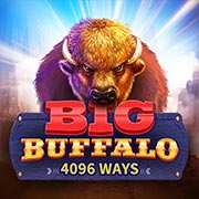 BIG BUFFALO