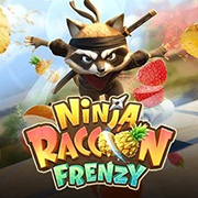 NINJA RACCON FRENZY